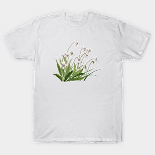 January 6th birthday flower T-Shirt